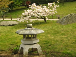 Japanse tuin lente 2010 053