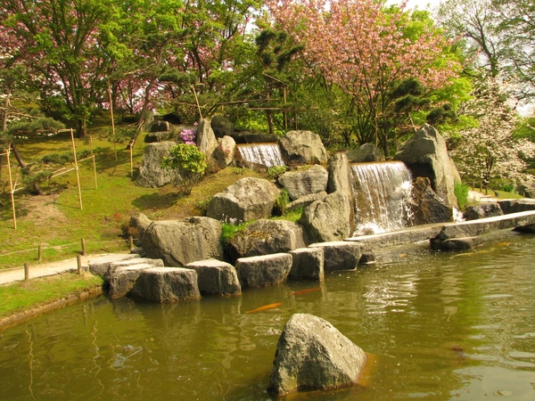Japanse tuin lente 2010 063
