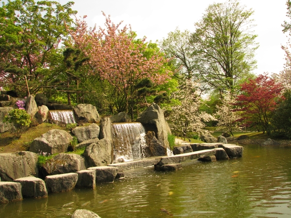 Japanse tuin lente 2010 064