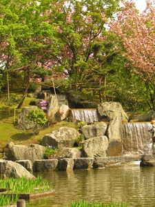 Japanse tuin lente 2010 065