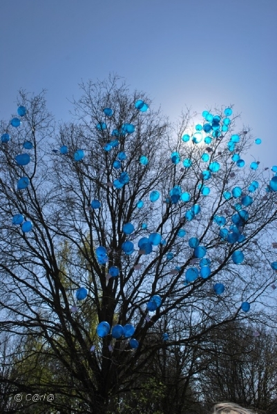 2010-04-23 Ballonwedstrijd (83)