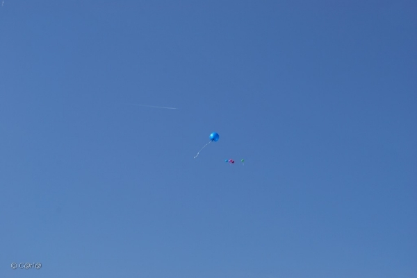 2010-04-23 Ballonwedstrijd (92)