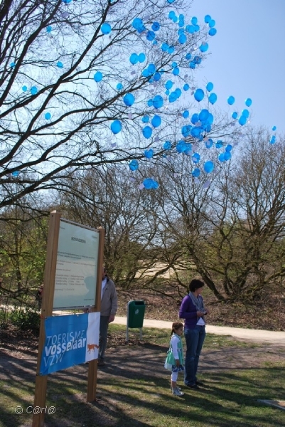 2010-04-23 Ballonwedstrijd (96)