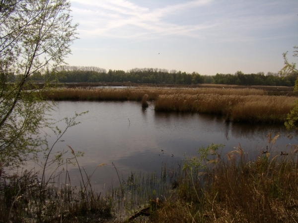 2010-04-24 KKT Lokeren en Moerbeke 024