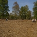 2010-04-24 KKT Lokeren en Moerbeke 038