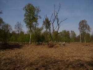 2010-04-24 KKT Lokeren en Moerbeke 039