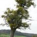 wandeling3
