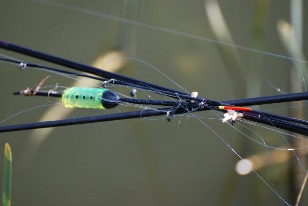 Vissen op forel 24-4-2010 (11)