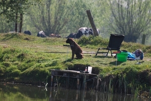 Vissen op forel 24-4-2010 (54)