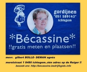 becassine-gele boord