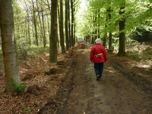 10.05.07.KRUISKERKE.IN DE VORTE BOSSEN