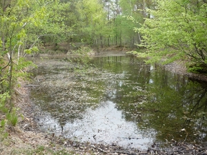 10.05.07.KRUISKERKE.HET VIJVERKE