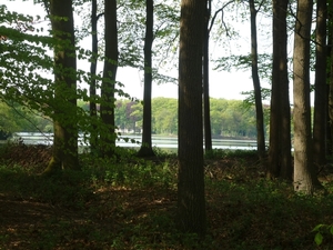 AALTER.ACHTER DE BOMEN DE KRAENEPOEL