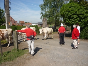 10.05.22.HANSBEKE .WANDELAARS WACHTEN