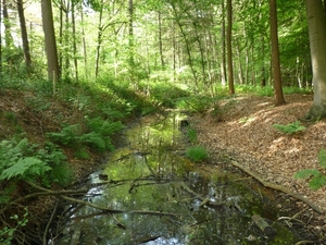 10.06.05.LEMBEKE.'T DROOG VAARDEKEN