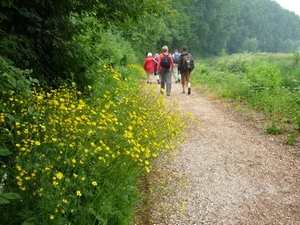 10.06.06.AARDENBURG.MOOI WANDELEN