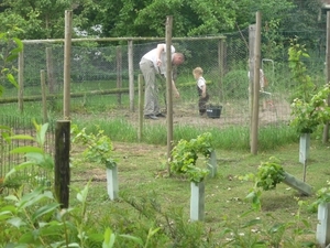 10.06.06.AARDENBURG.VEEL HULP BIJ HET WERK