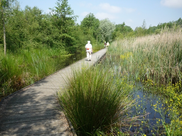 10.06.12.OOSTKAMP.PRACHTIG WANDELEN