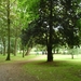 10.06.20 EEKLO.DOOR HET PARK