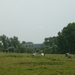 10.07.03.GRAMMENE.SPOORWEGBRUG IN DE VERTE