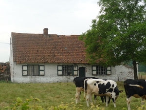 10.07.09.ST MARIA AALTER.OUD HOEVEKE