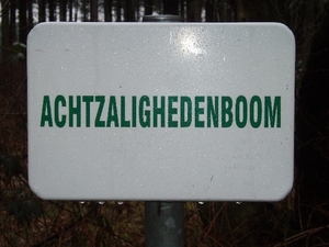 wandeling lille 005