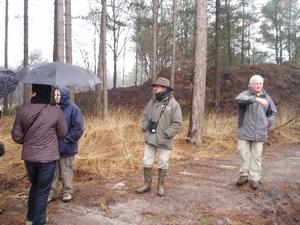 wandeling lille 008