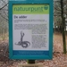 wandeling lille 010