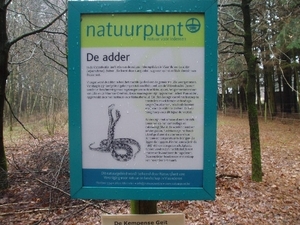 wandeling lille 010