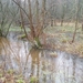 wandeling lille 011