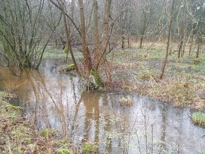 wandeling lille 011