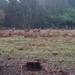 wandeling lille 012