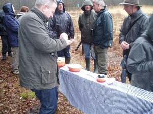 wandeling lille 020