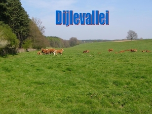 Dijlevallei