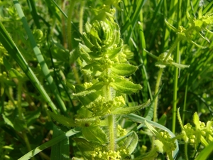 P1240159