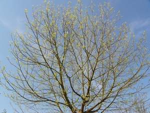 P1240163