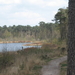 Oosterwijkseplas