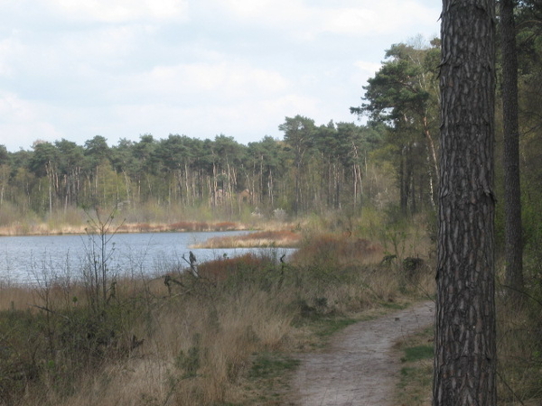 Oosterwijkseplas