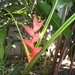 costa rica039