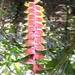 costa rica040