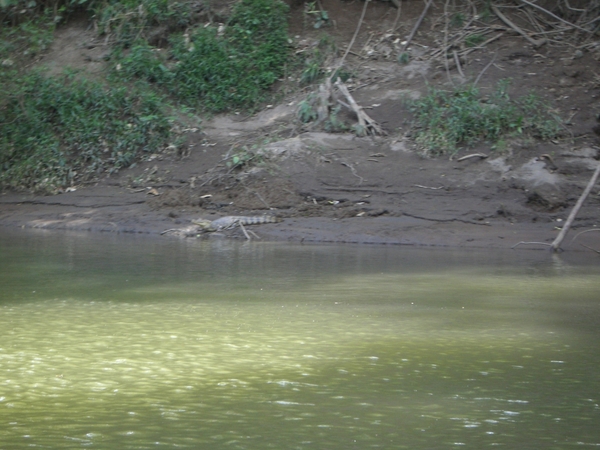 costa rica057