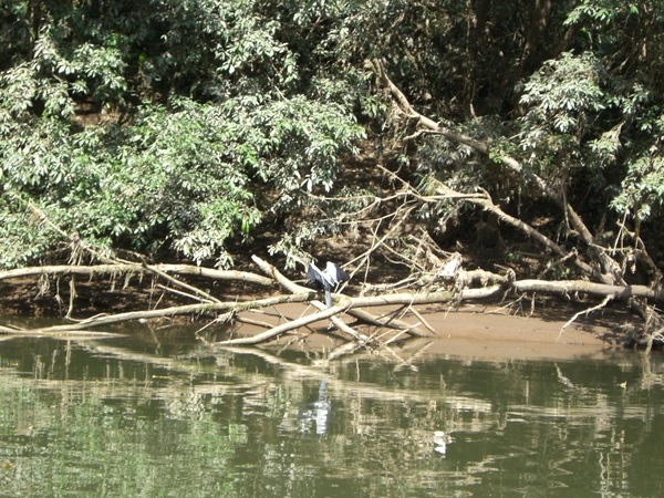 costa rica059