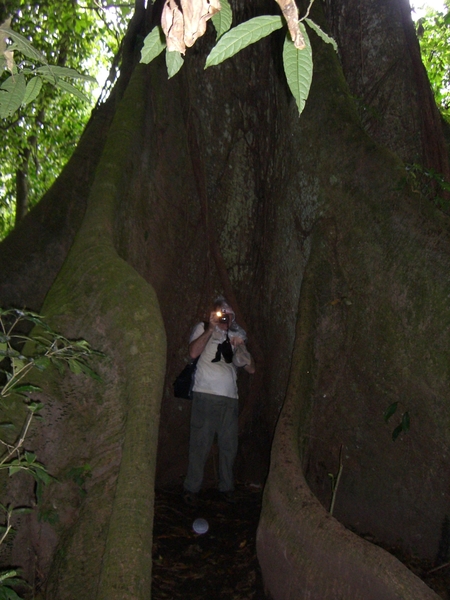 costa rica103