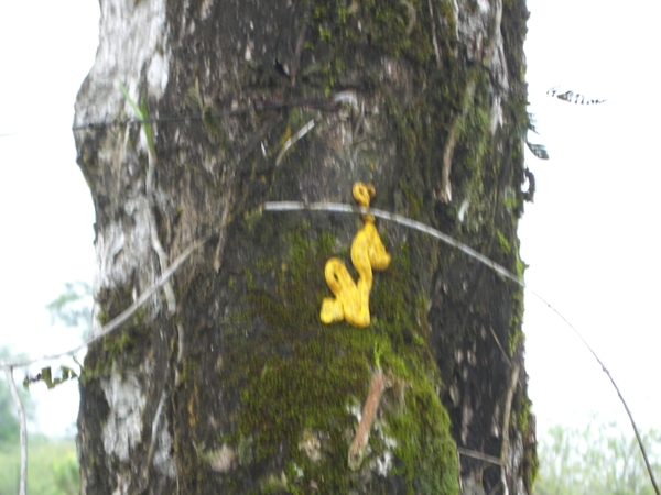 costa rica104