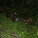 costa rica115