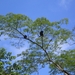 costa rica117