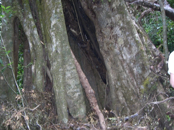 costa rica122