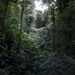 costa rica127