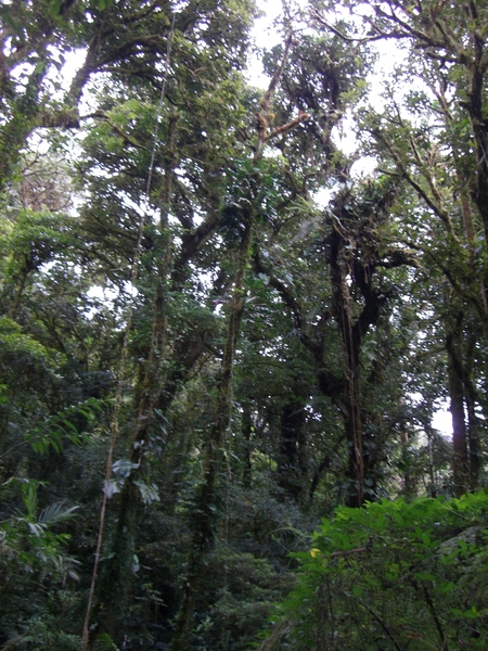 costa rica130