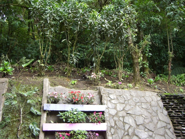costa rica134